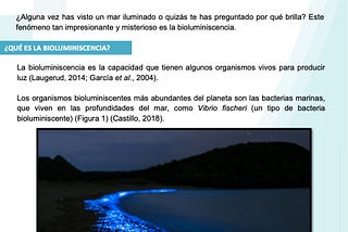 Bioluminiscencia: El misterio brillante del mar