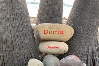 Dumb and Dumber. Photo copyrighted by Mark Tulin.