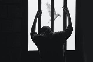 19 Ways to Support Prison Abolition & People Trapped in Cages