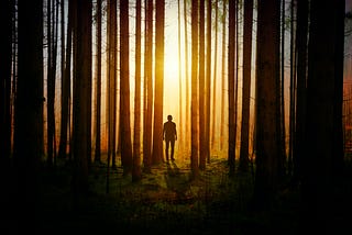 Dark silhouette of a person standing among tall trees. The forest floor is covered in moss, and the sun’s golden light shines brightly through the trees and against the person’s back, almost eerily.