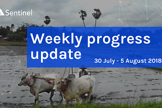 📝 Weekly Progress Update — 30 July to 5 August 2018