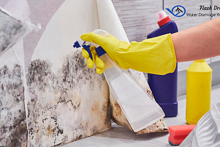 How to Safely Clean Mold-Infested Materials