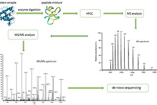 The Principle of Protein De Novo Sequencing