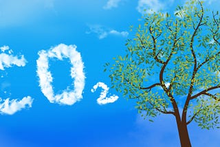 Trees and Carbon Dioxide: What Is the True Connection?