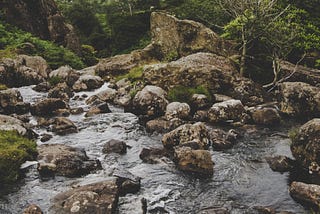 Molekulares Wasserrauschen