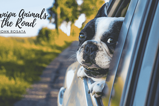 Companion Animals on the Road