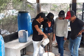 Enriching Crop Production Through the Use of Mountain Microorganism Bio-Inputs