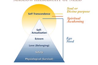What is Self-Transcendence?