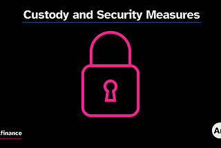 Custody and Security Measures