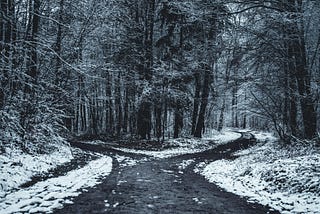 Image of a forest path that forks. The forest is covered in snow.