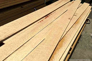 Get Ready For Another Lumber Rally As Homebuilders Anticipate 2023 Rebound