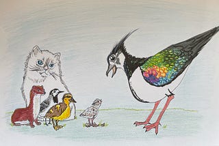 A lapwing male greets a lapwing chick emerging from its shell with a group of animals looking on behind it — a kitten, weasel, wagtail, and duckling.