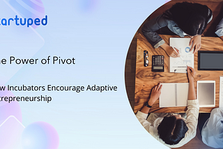 The Power of Pivot: How Incubators Encourage Adaptive Entrepreneurship