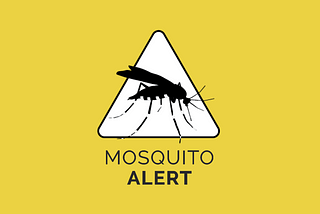 🏆 How MPWARE topped the leaderboard in MosquitoAlert Challenge 🦟