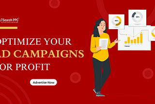 Optimizing Ad Campaigns for Profit: A Guideline for Smart Advertisers