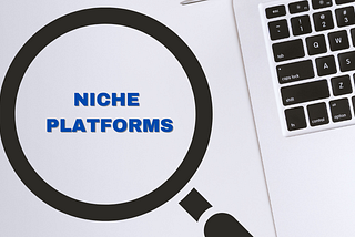 Niche Platforms Thought Paper