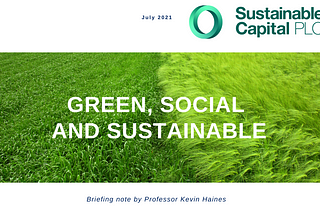Green, Social and Sustainable: all for one and one for all?