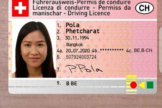 Österreichischer Personalausweis und registrierter Führerschein auf legalen Wegen