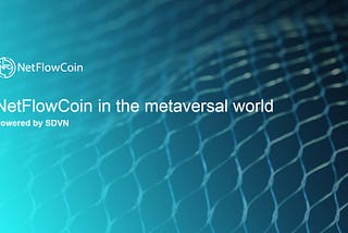NetFlowCoin in the metaversal world