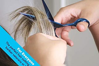 Equinox Professional Hairdressing Hair Cutting Scissors — Best Barber Scissors