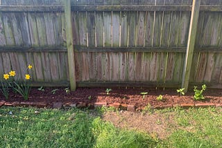 Genomics, or mulch?