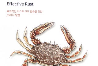 Effective Rust