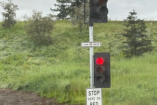 Traffic signs 101: sometimes being a good driver means breaking a few rules.