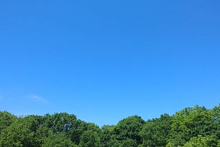 The tops of green trees with a blue sky above