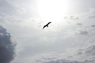 Freedom.