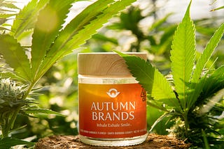 Cannabis Industry Explosion: Five Industry Trends From Sustainable Cultivator Autumn Brands