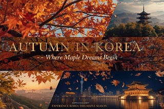 Maple Season 🍁 in South Korea 😍