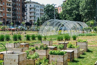 Economic Viability of Sustainable Agriculture for Small-Scale Farmers