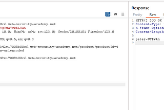 [Portswigger Academy] OS command injection