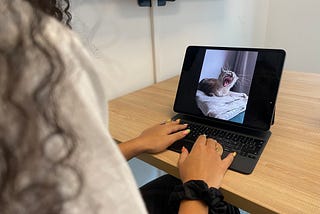 A woman looking at picture of a cat yawning on her computer.