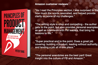 My Book, Principles of Product Management, is Now Available!