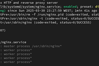 Nginx (vários sites com Server Blocks)