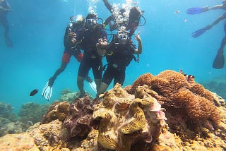scuba divers underwater