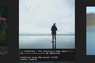 AI model result, CNNs Convolutional Filters, Python, Tensorflow Horse and Human