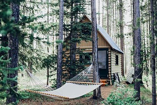 A cabin surrounded by pine trees with a hammock in the foreground.