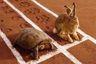 Are you a tortoise or a hare?