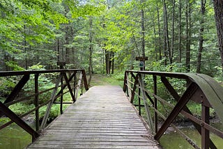 A Way To Stay Sane In An Insane World