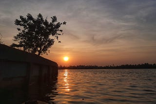 The sun rises at the horizon in the backwaters with a silhouette of a tree on the left.