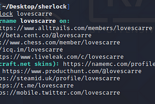 Finding social media accounts with nickname (with ‘sherlock’)