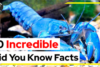 10 Incredible Did You Know Facts That Will Astonish You
