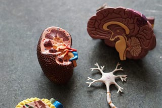 Life When Your Brain Doesn’t Like You