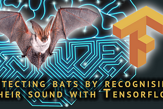 Detecting bats by recognising their sound with Tensorflow