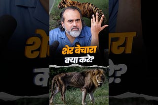 शेर बेचारा क्या करे?