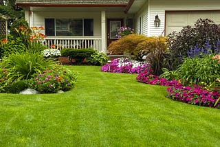The Advantages of Hiring a Professional Landscaping Service
