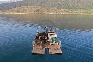 Mada Adası (Kazak Adası)