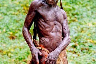 The Evolution of Humankind: A Summary of Sapiens by Yuval Noah Harari